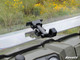 Polaris Ranger Full Size 570 Scratch Resistant Flip Windshield